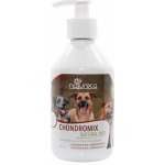 Natureca Chondromix Natural Dog 250 ml – Hledejceny.cz