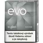 Camel Silver krabička – Zboží Dáma