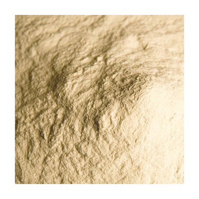 World Herbs Agar Agar Želatina 850 mořské řasy prášek E406 100 g – Hledejceny.cz