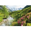 Plakát Plakát, Obraz - Alps - Nature and Mountains, 120 × 80 cm