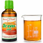 Bylinné kapky Duše rostlin Jírovec plod tinktura 50 ml – Hledejceny.cz