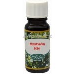Saloos Vonný olej magie 10 ml – Hledejceny.cz