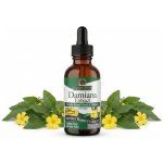 Nature´s answer Damiána pravá 30 ml – Hledejceny.cz