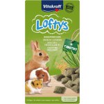 Vitakraft Rodent Lofty´s all rodent 100 g – Sleviste.cz