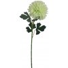Květina Chryzantéma zelená X5787-15