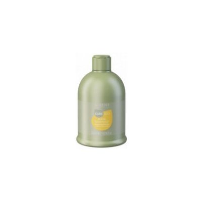 Alter Ego Line Silk Oil Shampoo 300 ml – Zboží Mobilmania