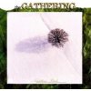 The Gathering - Nighttime Birds CD