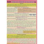 Ostatní Tabulka - přehled české literatury – Sleviste.cz