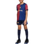 Nike FCB LK NK DF KIT STAD HM 2024/25 fn9233-456 – Sleviste.cz
