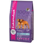 Eukanuba Puppy & Junior Large Breed 3 kg – Sleviste.cz