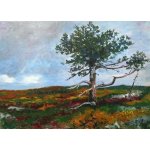 LEGO® Minecraft® 21142 Iglú za polárním kruhem – Zboží Živě