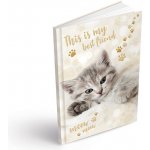 MFP Záznamová kniha A5 linka 100 listů – Zboží Dáma