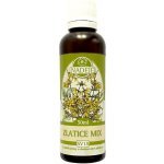 Naděje Zlatice mix tinktura speciální výluh z bylin 50 ml – Hledejceny.cz
