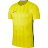 Pánské sportovní tričko Nike Triko NK BRT ACDMY TOP SS GX2 ao0049-732