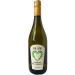 Dolcino Lambrusco Emilia IGT Bianco 8% 0,75 l (holá láhev) – Zboží Dáma