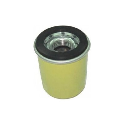 Zahradales Filtr olejový pro BS 800 875 Series 795990 C0501007 – Sleviste.cz