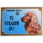 Dafiko Tabulka Anglický kokr zlatý – Zboží Dáma