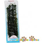 Tetra rostlina Green Cabomba Plus 38 cm – Zboží Mobilmania