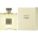 Deodorant Chanel Gabrielle Woman deospray 100 ml