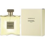 Chanel Gabrielle Woman deospray 100 ml – Zbozi.Blesk.cz