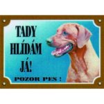 Dafiko Tabulka Rhodéský ridgeback – Zboží Mobilmania