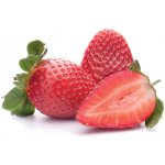 Jahodník Aromas stáleplodící - 10 pack – Zboží Dáma