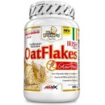 Amix Mr. Popper's Oat Flakes Gluten Free 1 kg – Zbozi.Blesk.cz