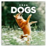 Nástěnný poznámkový Psi 2026 – Zbozi.Blesk.cz