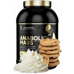 Kevin Levrone ANABOLIC MASS 3000 g – Hledejceny.cz