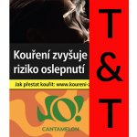 Theo CANTAMELON 40 g – HobbyKompas.cz