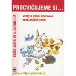 Vzory podstatných jmen a psaní jejich koncovek - Lenka Galertová, Milena Brychtová – Hledejceny.cz