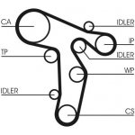 Sada rozvodového řemene s vodní pumpou CONTINENTAL CTAM CT1139WP6 | Zboží Auto