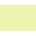 Papír barevný A4 80 g Image Coloraction CY39 Canary středně žlutá – Hledejceny.cz