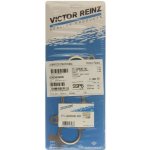 Victor Reinz VR 71-42846-00 – Hledejceny.cz
