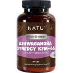 NATU BetaGlukan 500 mg s BIO acerolou 60 kapslí – Hledejceny.cz