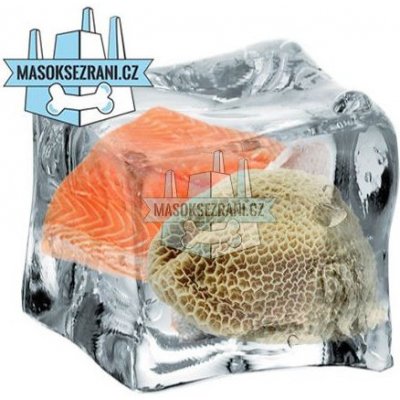 B.A.R.F. Company Losos komplet s dršťkami 0,25 kg – Sleviste.cz