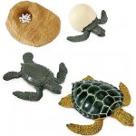 Safari Životní cyklus Mořská želva – Zboží Dáma