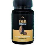 Hrotlife Chaga Premium podpora správného fungování organismu 60 kapslí – Hledejceny.cz