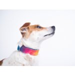 Sweet Energy.cz Sweet obojek No. – Zboží Mobilmania