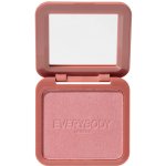 Everybody London Zapečená tvářenka Dusty Pink 4,2 g – Hledejceny.cz