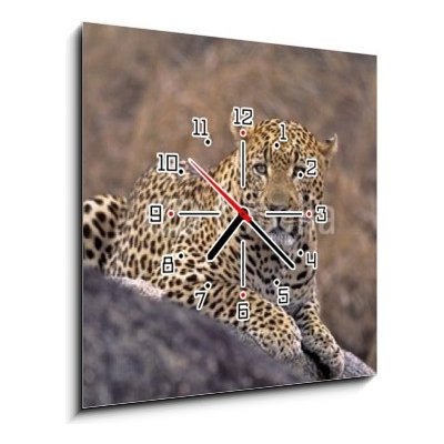 Obraz s hodinami 1D - 50 x 50 cm - Africa-Leopard Afrika