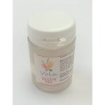 Vola Colori Decor Gel (90 g) na jedlý papír – Sleviste.cz