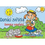 MFP Omalovánky A5 Domácí zvířátka – Zboží Dáma