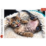 Trefl 10448 Veselé kotě 1000 dílků – Hledejceny.cz