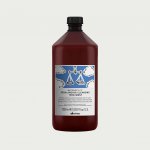 Davines Naturaltech Rebalancing Cleansing Treatment 1000 ml – Hledejceny.cz