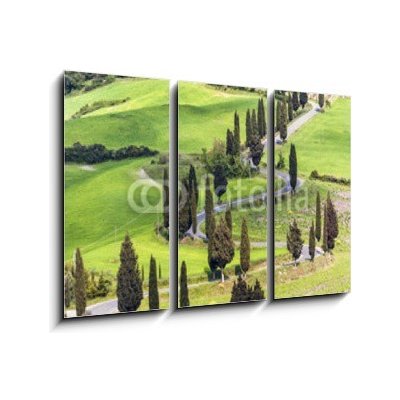 Obraz 3D třídílný - 105 x 70 cm - Road with curves and cypresses in Tuscany, Italy Silnice s křivkami a cypřišky v Toskánsku, Itálie