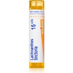 LACHNANTHES TINCTORIA POR 15CH GRA 4G – Hledejceny.cz