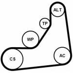 Sada žebrovaných klínových řemenů CONTINENTAL CTAM 6PK1153K5 – Zboží Mobilmania