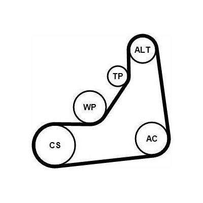 Sada žebrovaných klínových řemenů CONTINENTAL CTAM 6PK1153K5 – Zboží Mobilmania