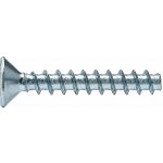 Pematex Šroub do plastu Plast-Fast 30° 4,0x10 ZH ZB Torx 20 – Hledejceny.cz